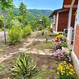 Baven -toven Naturae , Rubik Albanien